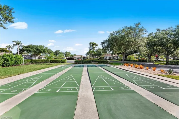 Shuffleboard