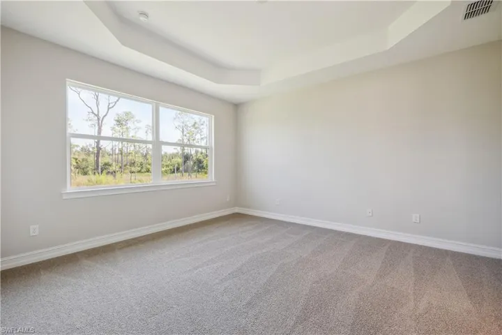 Carpeted empty room featuring a raised ceiling