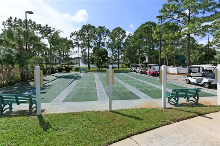 Shuffleboard