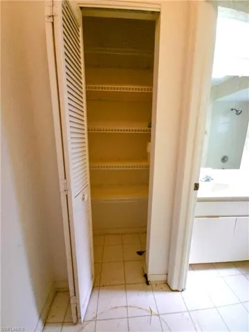 Closet featuring a sink