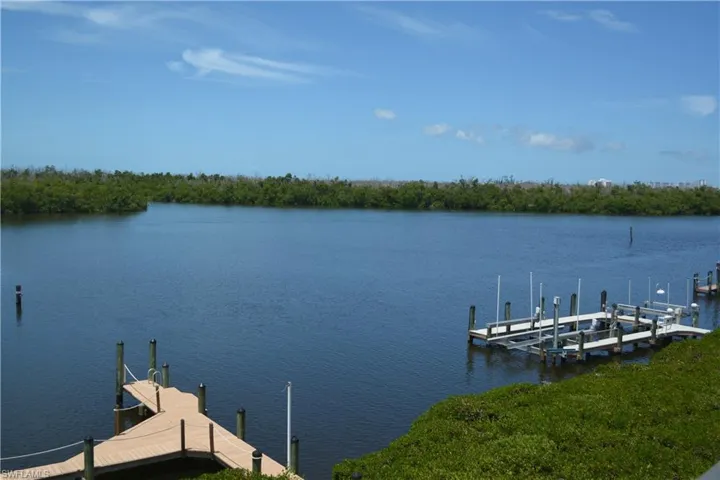 14571 Jonathan Harbour Dr, Fort Myers, Florida 33908