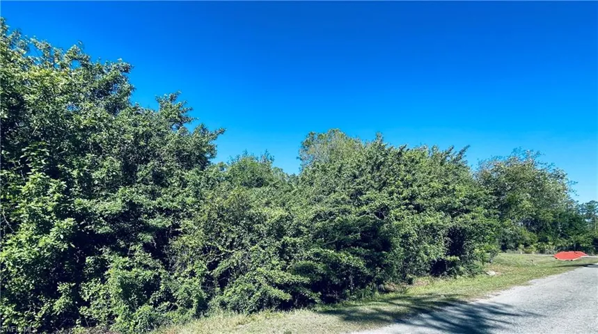 View of nature