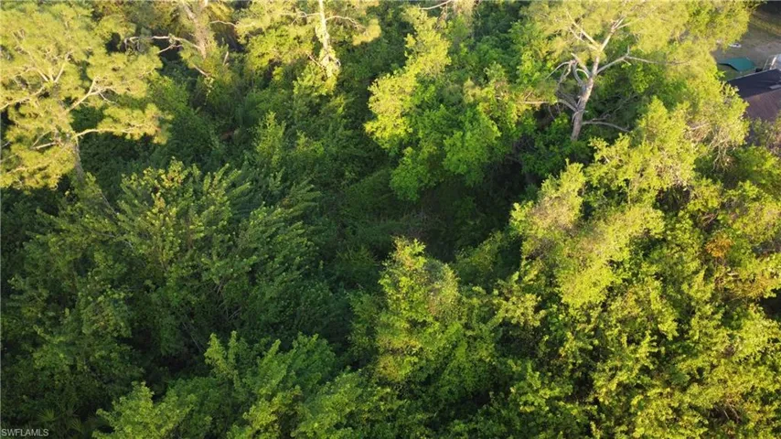 Birds eye view of property with a forest view