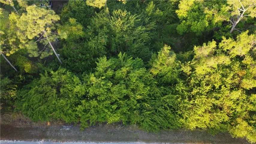 Aerial view featuring a forest view