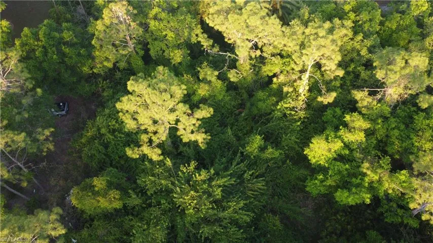 Bird's eye view featuring a wooded view