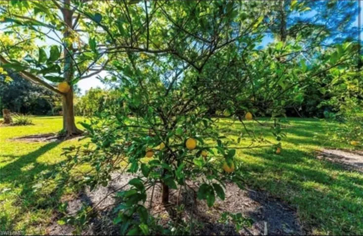 25271  Roland  LN, Punta Gorda, FL 33955