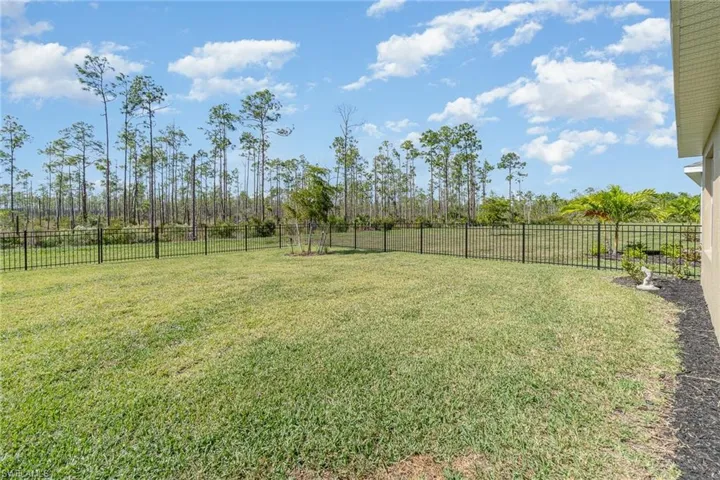 View of fenced yard and preserve view