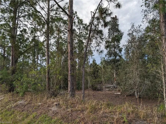 TBD 48th Ave NE, NAPLES FL 34120