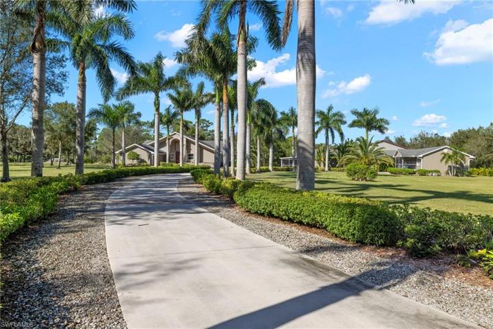 Royal Palm lined driveway