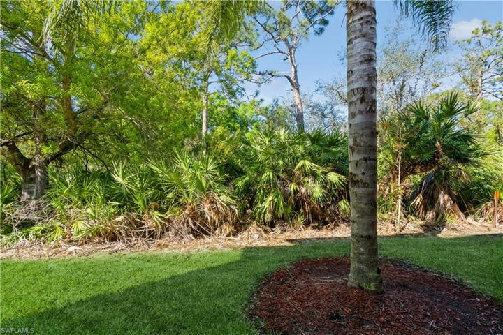 Beautiful view of preserve and lush landscaping
