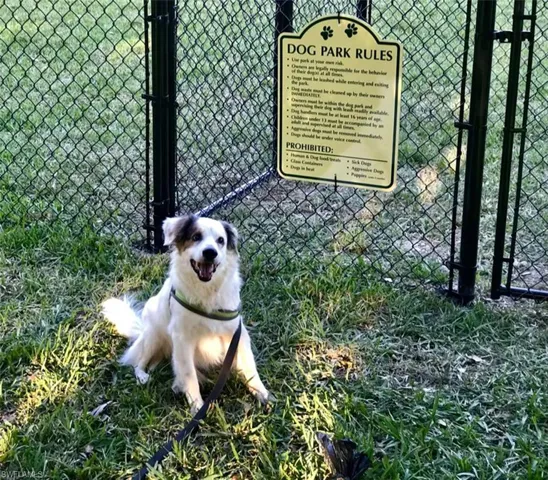 Odin welcomes your fur-babies