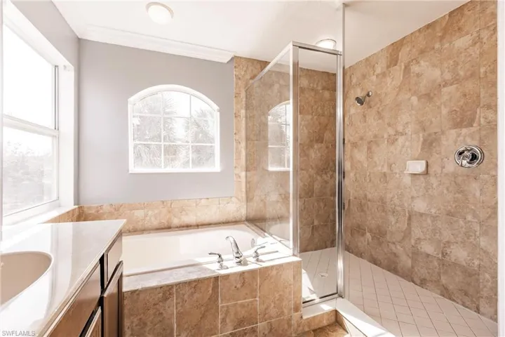 Bathroom featuring vanity, ornamental molding, and shower with separate bathtub