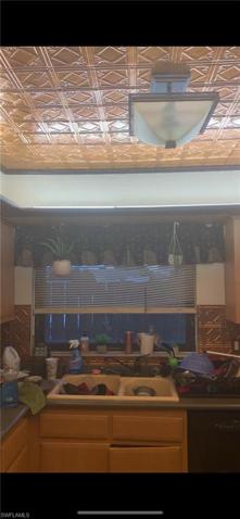 Kitchen Ceilings