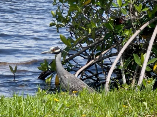 CRAIN AT PALM POINT