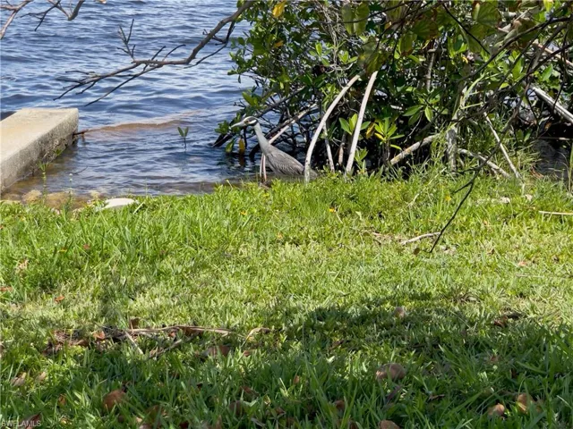 14502  Nathan Hale  LN, North Fort Myers, FL 33917