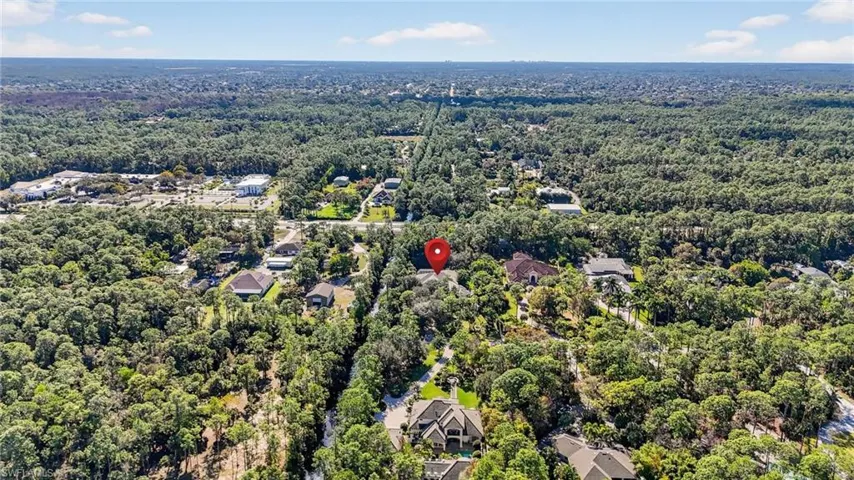 Bird's eye view of a forest