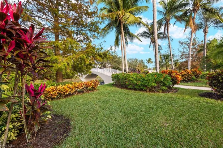 Backyard Oasis