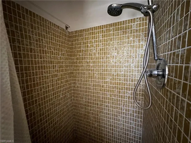 walk-in shower with detachable showerhead in master bathroom