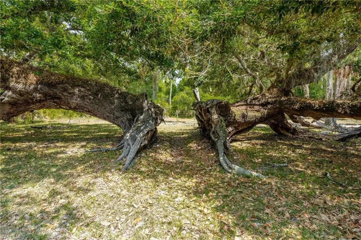 18301 Old Bayshore Rd, North Fort Myers Fl 33917