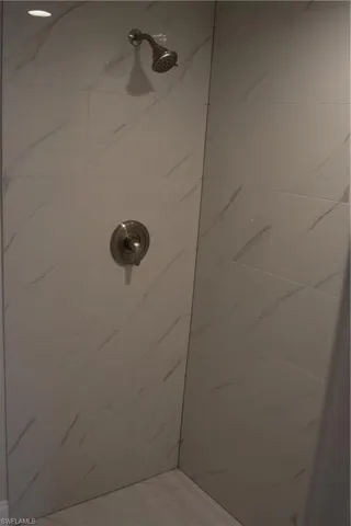 Master bath shower