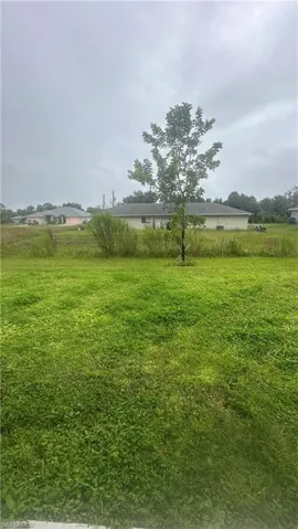 View of grassy yard