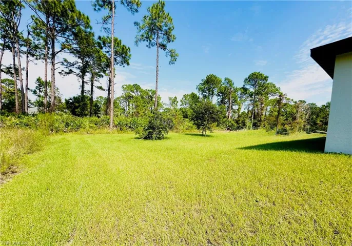 view from left side