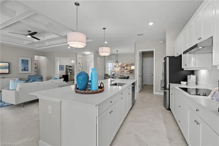 14357  Lagoon  LN, Babcock Ranch, FL 33982
