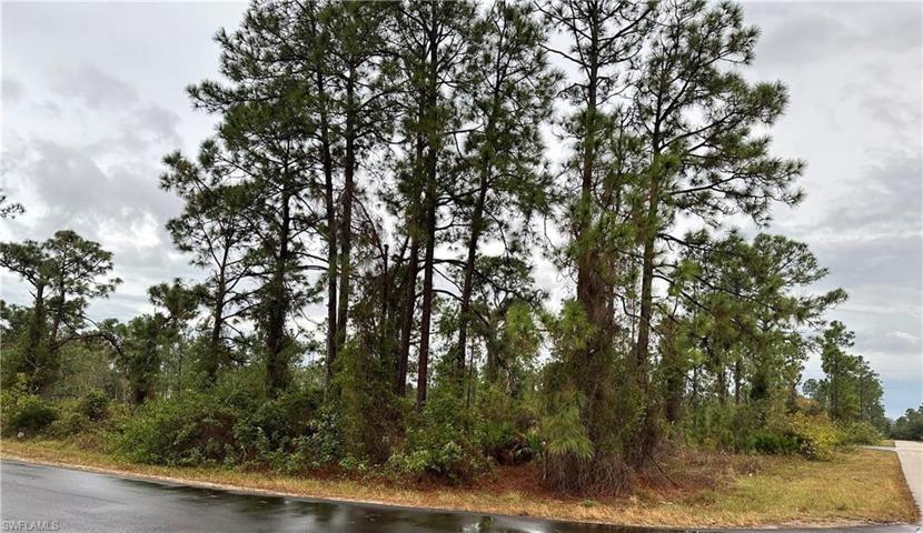 1106 Elegans ST E, LEHIGH ACRES FL 33974