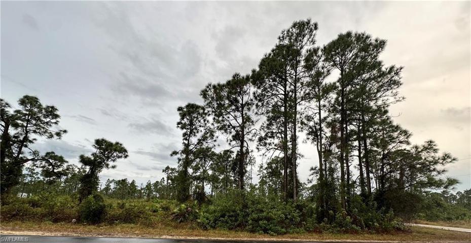 1106 Elegans ST E, LEHIGH ACRES FL 33974