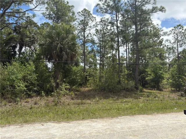 Front view of lot.