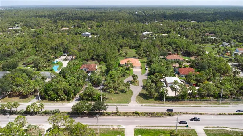 Bird's eye view of a forest