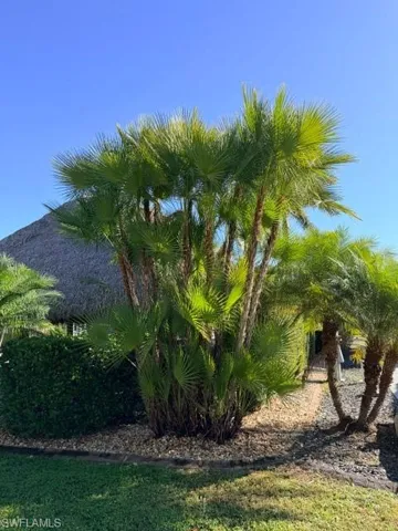 5200 Marsh Mallow Trl, Fort Myers, Florida 33905