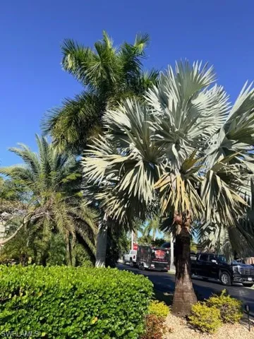 5200 Marsh Mallow Trl, Fort Myers, Florida 33905