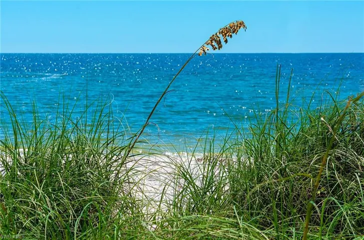 Pristine beaches!