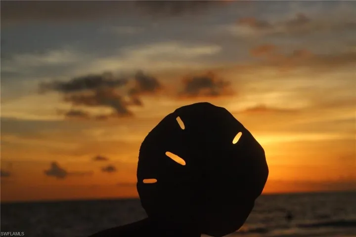 The Sunsets!