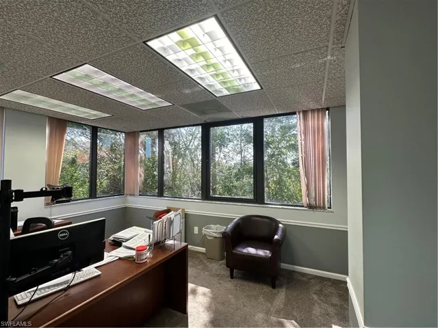 Carpeted office featuring a wealth of natural light