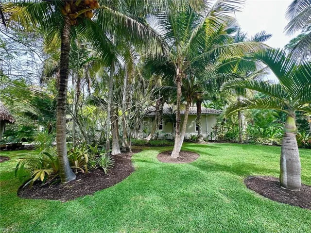 View of grassy yard