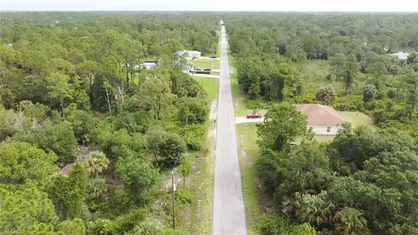Drone / aerial view of a forest
