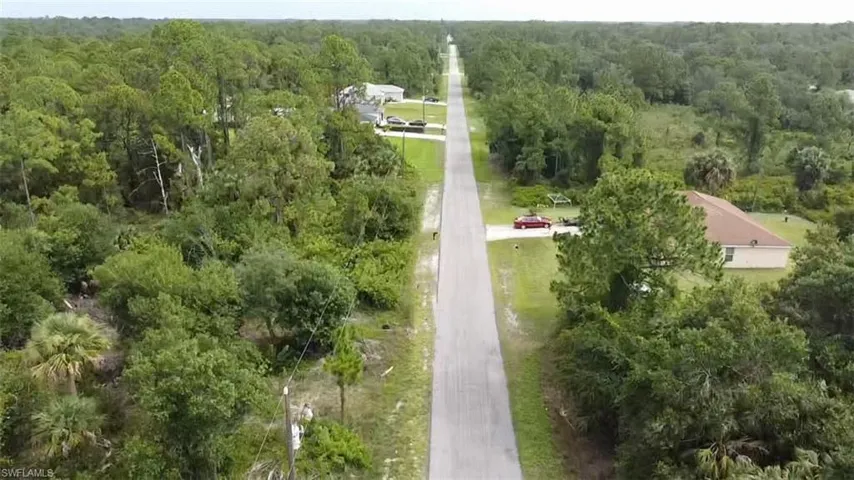 Bird's eye view of a forest