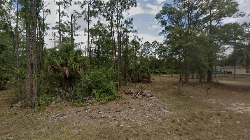View of local wilderness