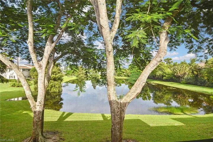 14840  Summerlin Woods  DR, Fort Myers, FL 33919
