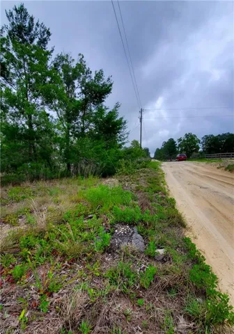 5391 W Osmond  LN, Dunnellon, FL 34433