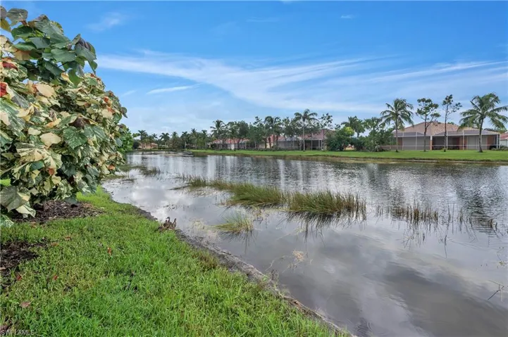 Water view