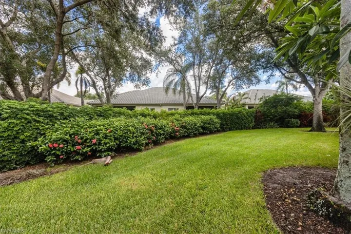 View of grassy yard