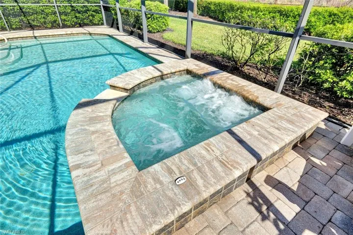 Spa with pavered lanai and preserve views.