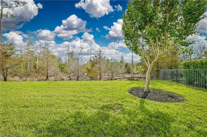 11087 Sparkleberry Dr, Fort Myers Fl 33913