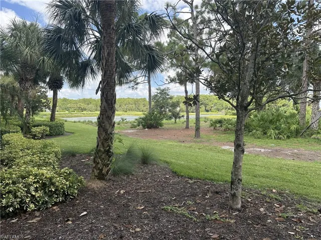 Lush landscaping with mature palm trees and green foliage
