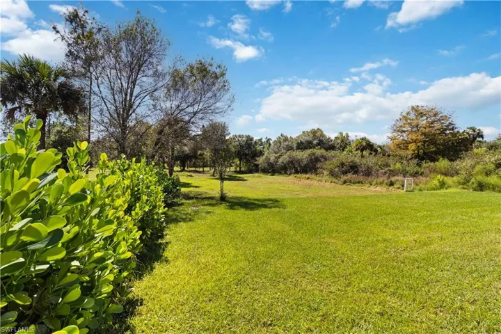 View of green lawn