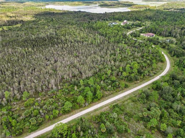 19100  Corkscrew Estates  CT, ESTERO, FL 33928