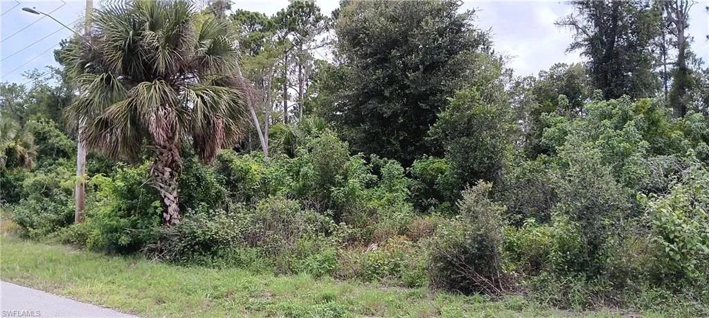 832 Anaconda Ave S, Lehigh Acres, Florida 33974